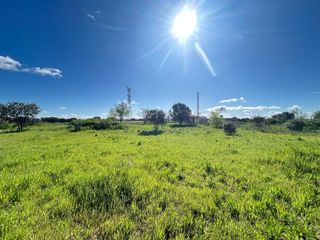 Terreno residencial  Amarillo jazmín