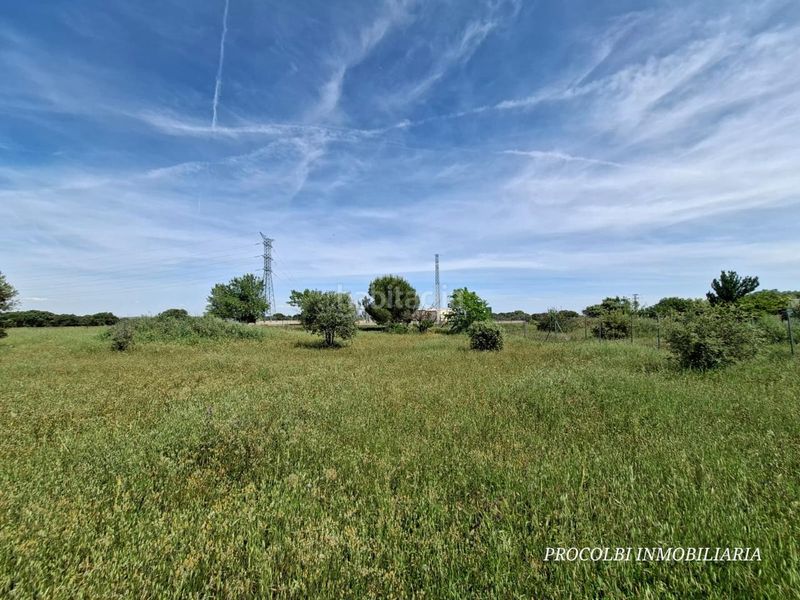 Foto b65b4169-1b2f-4ddc-a25a-a6e6abea9e2f. Terreno residencial en Casar (El)