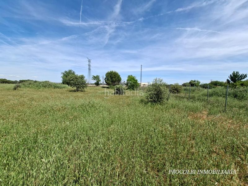 Foto c9447b84-20af-4c1e-96b6-b8efcff3b586. Terreno residencial en Casar (El)