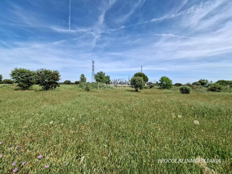 Foto ce8fb82c-02fe-4189-ac0e-d5d06de8225e. Terreno residencial en Casar (El)