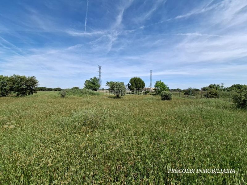 Foto d468bba7-2d55-412a-b82c-a4b5bbdd5df7. Terreno residencial en Casar (El)