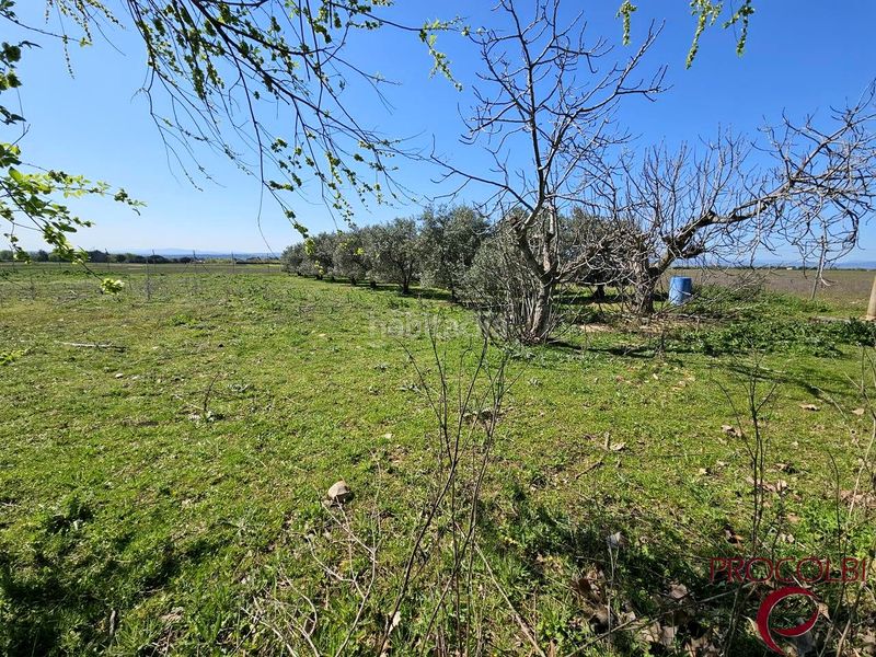 Foto 144eb37b-9425-47a7-8e63-e2aeda2c7182. Finca rústica en Valdeolmos - Alalpardo