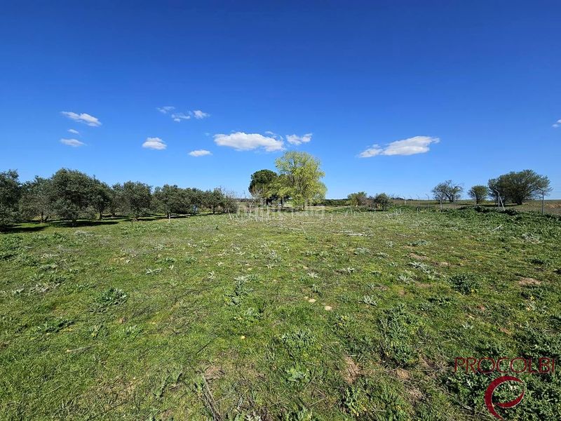 Foto 3db05f5e-536e-4983-b999-88e8cf4ab5fb. Finca rústica en Valdeolmos - Alalpardo