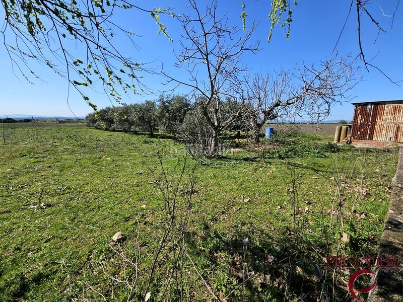 Foto 52336178-6bfb-49a6-b358-57e9dbd1781d. Finca rústica en Valdeolmos - Alalpardo