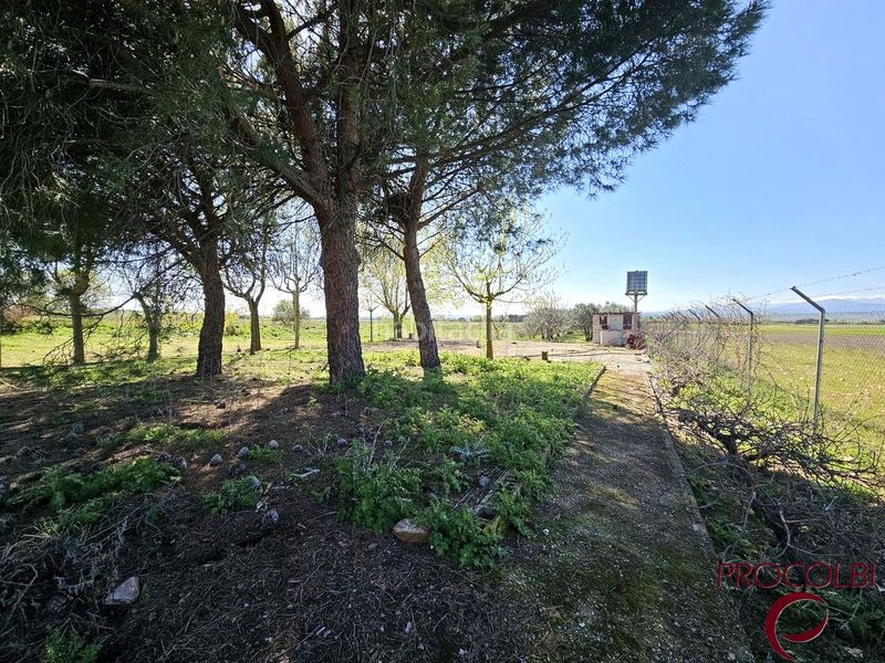 Foto 641c74e2-099a-4ec1-89b3-f988d9ce7d87. Finca rústica en Valdeolmos - Alalpardo