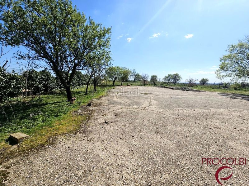 Foto 743c76ce-d138-4c79-86b7-ae1f6a2a942f. Finca rústica en Valdeolmos - Alalpardo