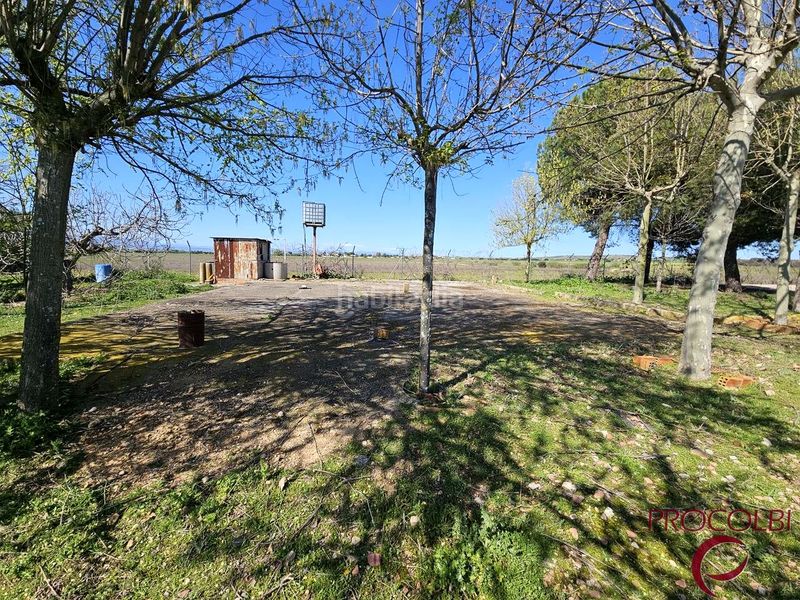 Foto 91db0237-2c5c-4b7b-9433-38b86b0325b8. Finca rústica en Valdeolmos - Alalpardo