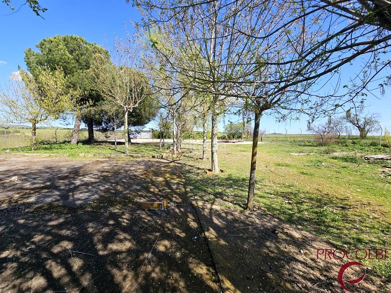 Foto afb97e83-fa90-41e0-9700-d225c750731f. Finca rústica en Valdeolmos - Alalpardo