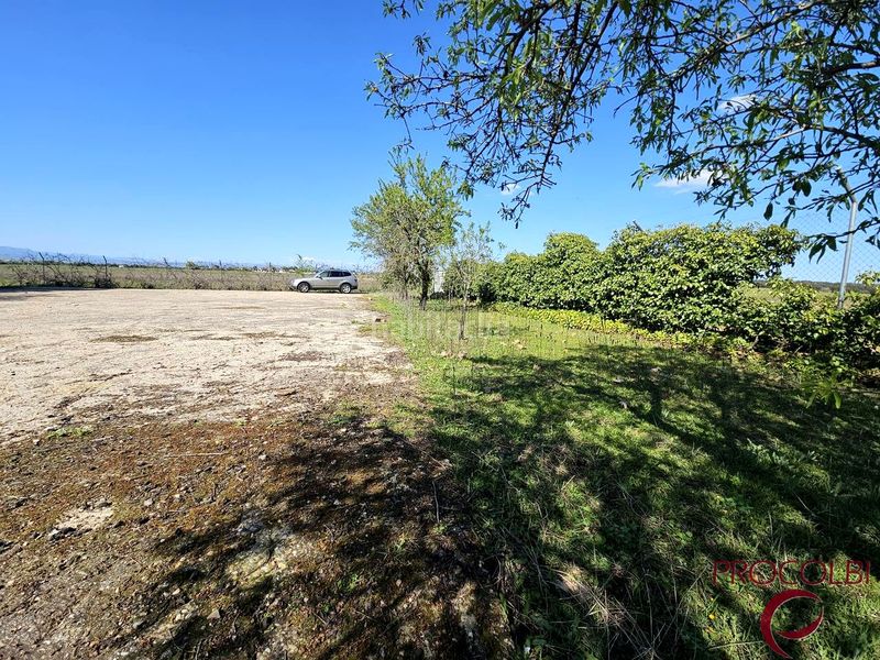 Foto b552d811-977a-4de1-a56a-c65a4ddbc141. Finca rústica en Valdeolmos - Alalpardo