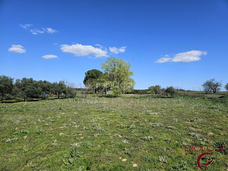 Foto cab85049-fe1a-4d11-b6d1-188a306dad7d. Finca rústica en Valdeolmos - Alalpardo