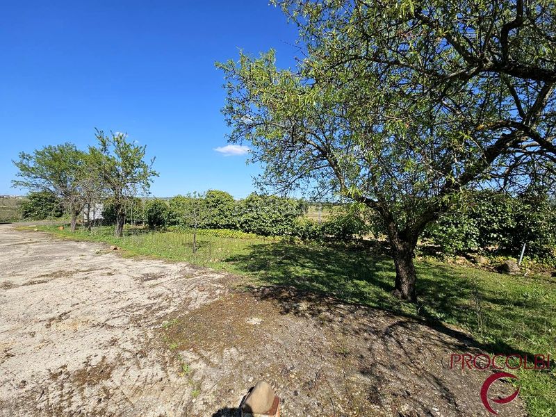 Foto cef42810-2afd-43b5-8578-154e7a22ae05. Finca rústica en Valdeolmos - Alalpardo