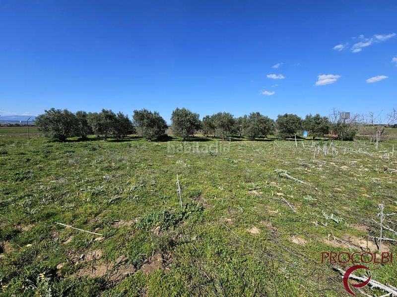 Foto e2f67838-2873-427c-9f10-2fc53fd81e47. Finca rústica en Valdeolmos - Alalpardo