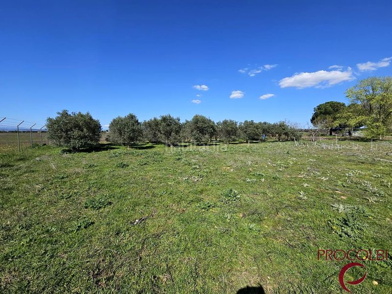 Foto e3139b60-93e9-4cca-863d-220b8a9ce995. Finca rústica en Valdeolmos - Alalpardo