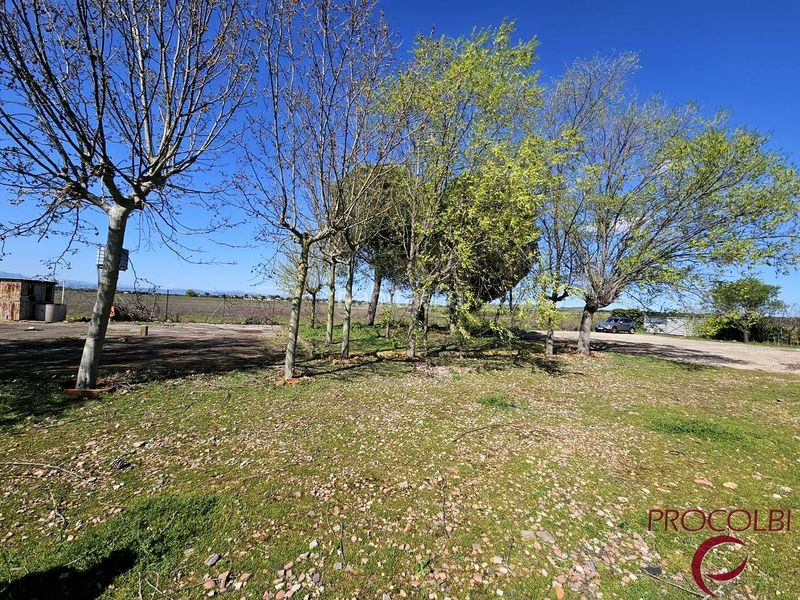 Foto eae4fb5e-31d9-4594-9e46-5ce0ecef62f5. Finca rústica en Valdeolmos - Alalpardo