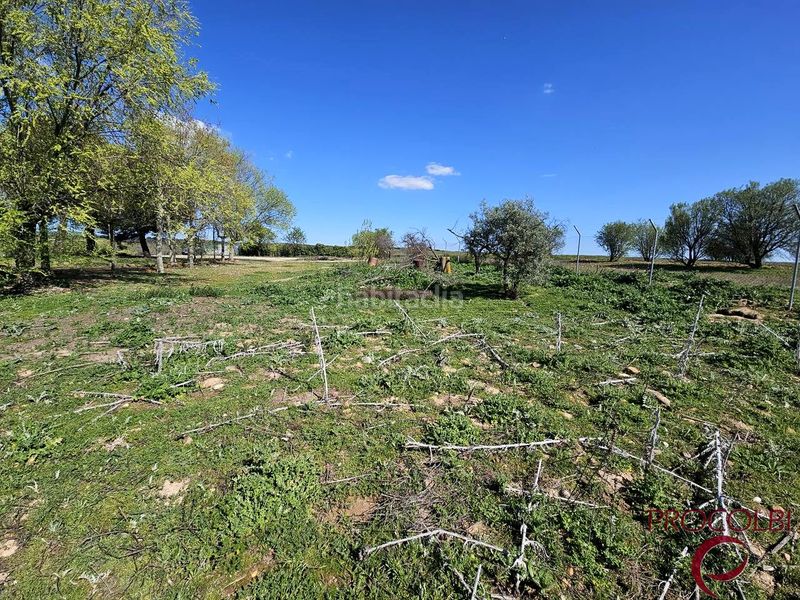 Foto f7e45727-4145-4a55-b717-aa359f9033b6. Finca rústica en Valdeolmos - Alalpardo