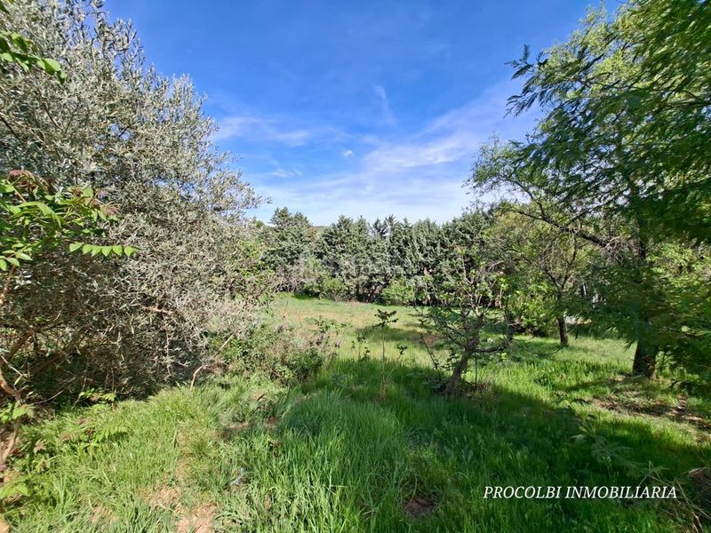 Foto 626022ce-a9db-42d1-970c-ced0d9265863. Casa amb aparcament a Uceda