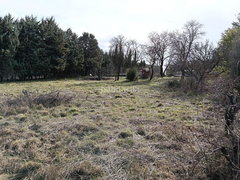 Foto da450e6c-a0da-4fc7-bd26-241091c4bcd4. Casa amb aparcament a Uceda