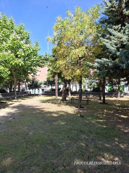 Foto ab7b4ed1-18cc-4d87-ab10-de9341281a34. Planta baixa amb calefacció a Almenara-Ventilla Madrid