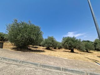 Terreny residencial a Río tajuña 1676