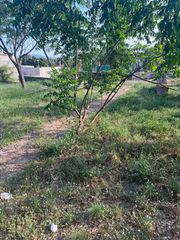 Terreno residencial en Camí salve regina 80. Gran oportunidad...!!