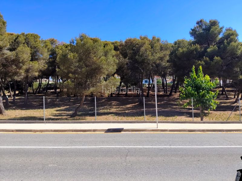 Foto 8c15258f-0af6-45eb-8135-be5090f638bf. Casa adossada a cami d'el vendrell 30 a Roda de Barà