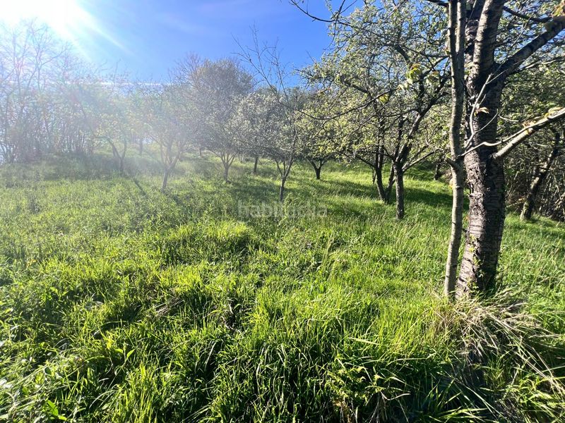 Foto d6349c9a-bd0d-4456-8106-a65a9e1c1def. Finca rústica a Lada Langreo