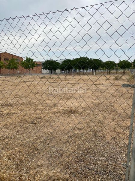 Foto 08248c92-4a9f-4dd4-be9e-99c5375ea405. Terreny residencial a Alcarràs
