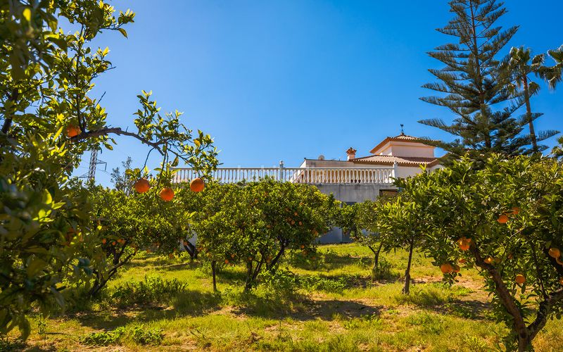 Foto d00d98a3-26f5-41e5-9324-4f65b7b568a0. Casa amb aparcament piscina a Los Llanos Estepona