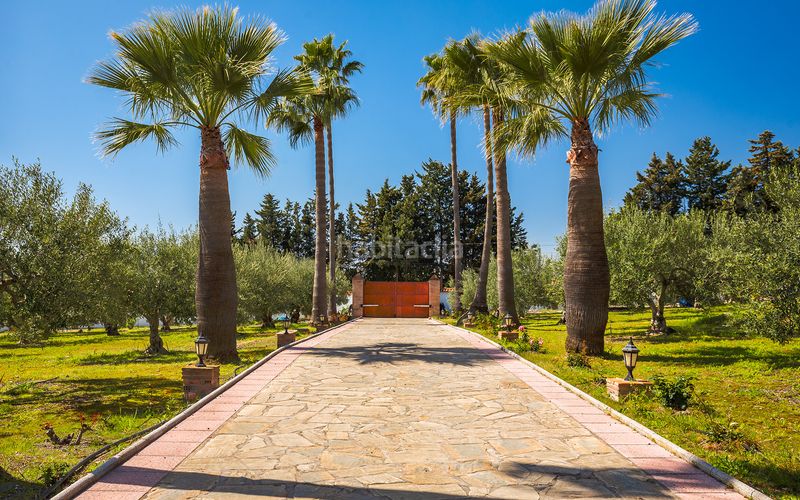 Foto d8623a4f-572e-4dc5-b953-0b32f84c8b9d. Casa amb aparcament piscina a Los Llanos Estepona