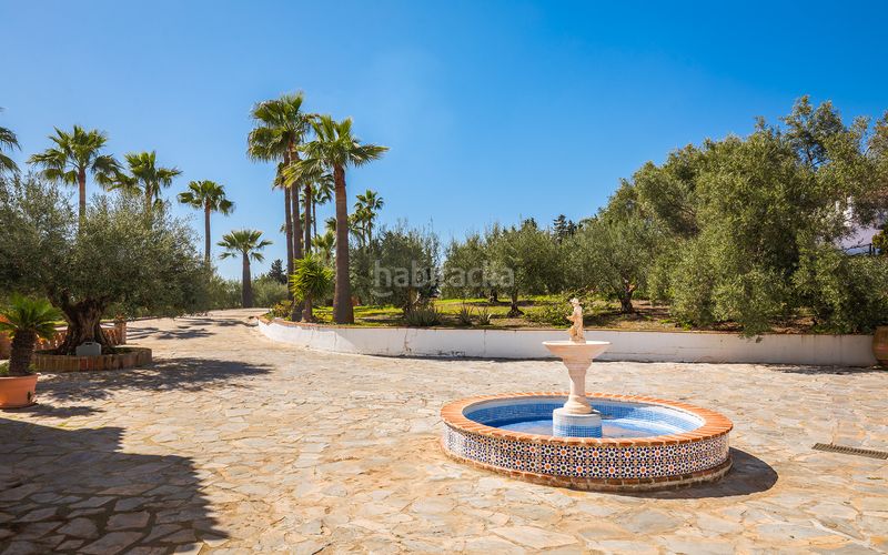 Foto db8421b6-33be-42fc-836e-37cf5113790d. Casa amb aparcament piscina a Los Llanos Estepona