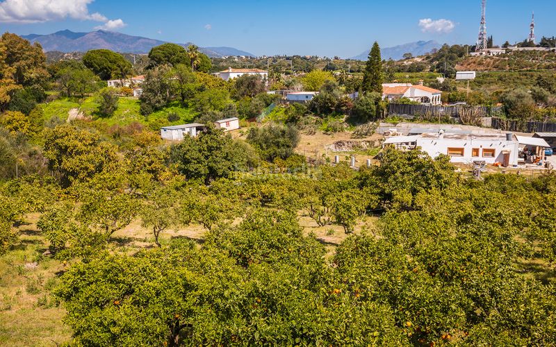 Foto eeaa1b93-4428-43ea-b3b0-853a0e3923e4. Casa amb aparcament piscina a Los Llanos Estepona
