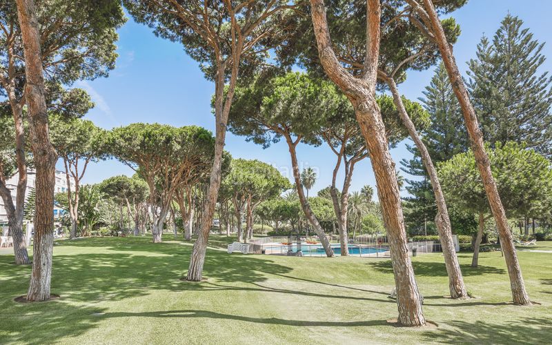 Foto 228da528-67dd-4aad-b79c-b21c762ef56b. Apartament amb aparcament piscina a Puerto Banús Marbella