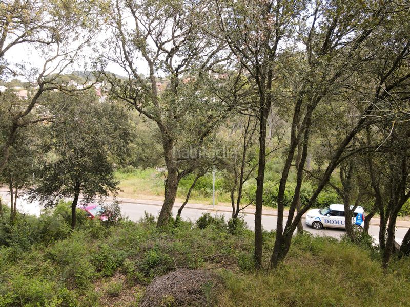 Foto fa6dcf43-9b7a-421b-9c2a-f0c55489ffda. Terreny residencial a residencial Begur-esclanyà Begur