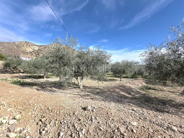 Foto 0b822df3-c39b-4e6f-83ce-56a096bb63d3. Casale con parcheggio in Huércal - Overa