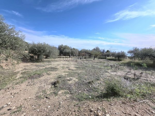 Foto e3a7d9e8-134c-4086-b685-bafd9f27bbfa. Casale con parcheggio in Huércal - Overa