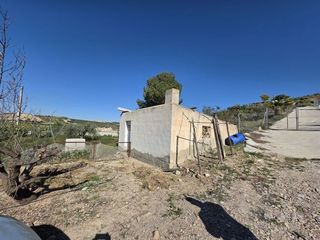 Bâtiment à usage industriel  Calle benzal