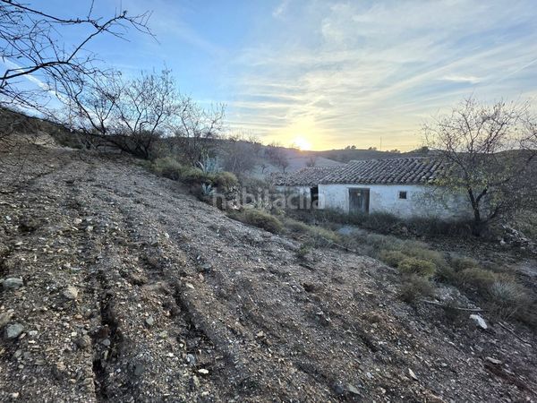 Foto 7c0fdcd3-24d6-442d-8777-32179250fb63. Casale in Nogalte Lorca