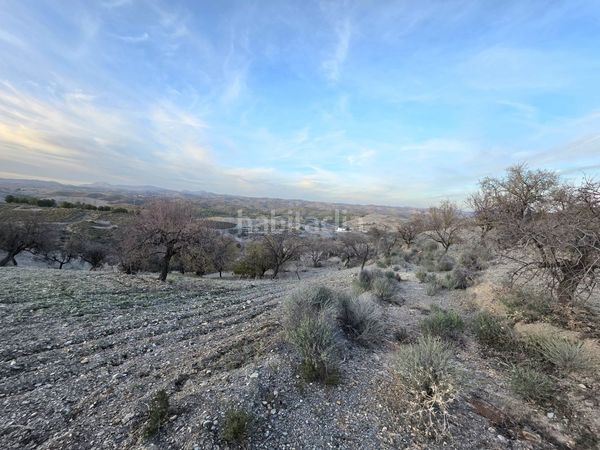 Foto a35a33c6-b07f-420a-87a9-ce0047a59074. Casale in Nogalte Lorca