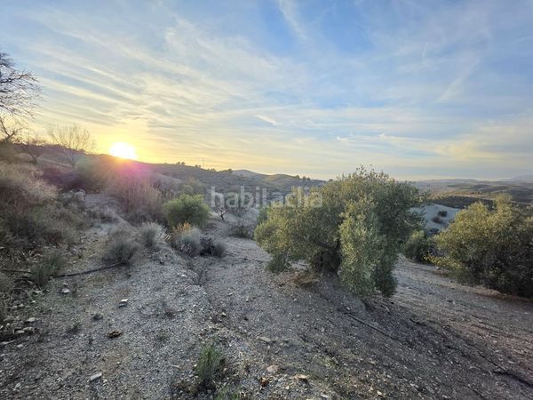 Foto ad6e05f7-4a18-452a-9d75-c0f4775e1a0c. Casale in Nogalte Lorca