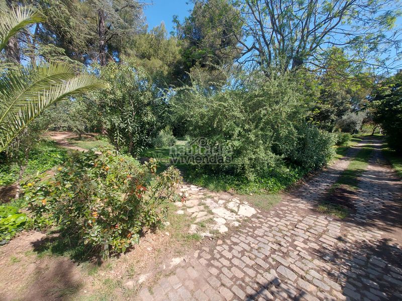 Foto 29a0d0e6-b2cd-4809-a5f8-a1a626014a48. Casa amb xemeneia aparcament piscina a Piera