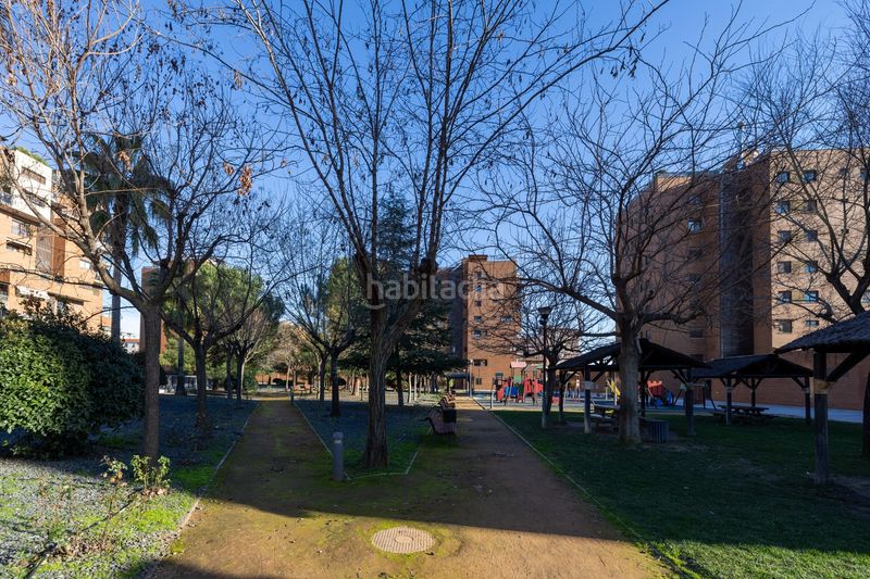Foto da881f43-3ea2-47cb-97f4-d401547b0e55. Àtic a calle jimena 7 a Av. F. Garcia Lorca - Nueva Estación Autobuses Granada