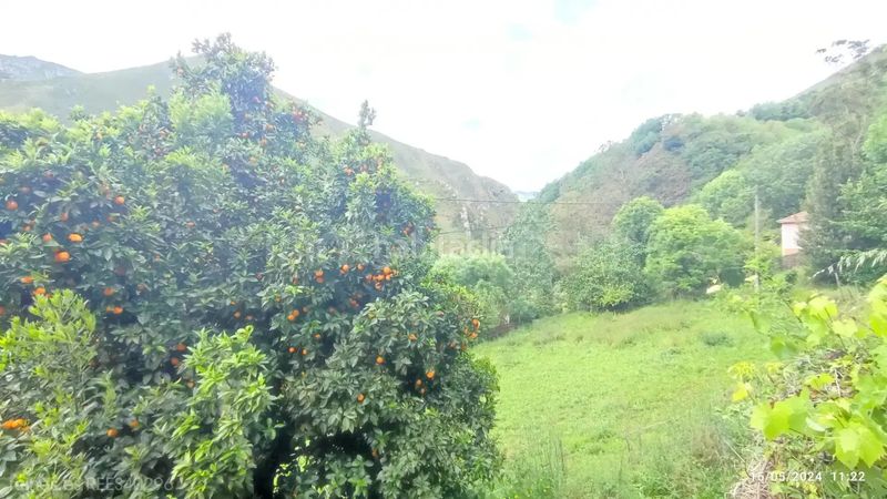 Foto d1611e92-15aa-4a7e-8ad9-9f163c413345. Casa a Grado