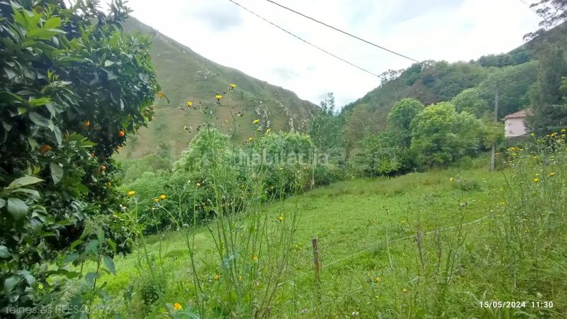 Foto da322974-a3b2-456d-9834-ce5e624b74b7. Casa a Grado