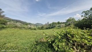 Terreny residencial  N/a. Venta de terreno urbano en nava  rees40403