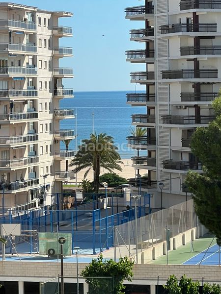 Foto 1d9c3b13-82ca-4637-bd63-997be3ff51f1. Pis a Playa de Gandía Gandia