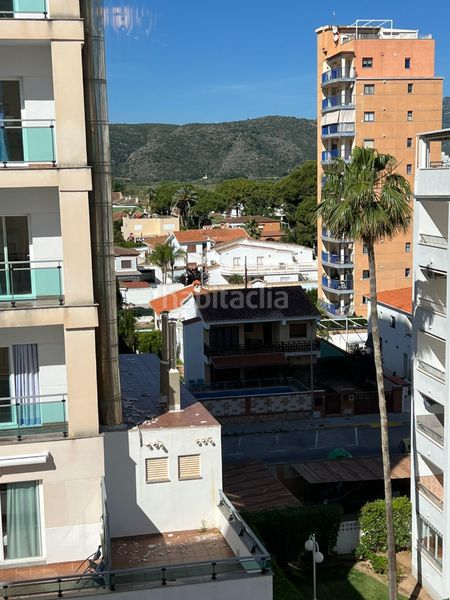 Foto 2763ec24-bc9b-4766-8225-17c4bd97b723. Pis a Playa de Gandía Gandia
