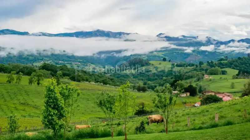 Foto ba13c156-8019-473c-99a9-ae22377a5fb6. Xalet amb calefacció a Parres