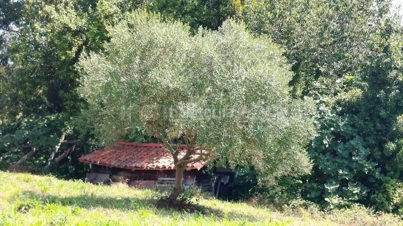 Foto dfca83f1-fd68-4c29-b297-d3920fcaffcf. Casa amb calefacció a Tazones - Argüero Villaviciosa