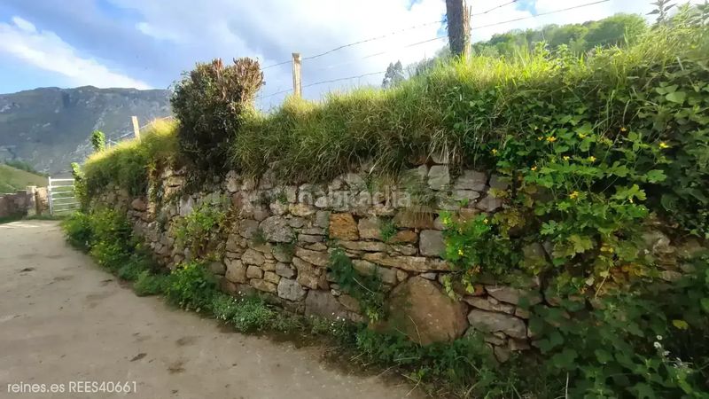 Foto 9c2b98a2-c46e-4e42-8a6e-5ac921b5af60. Terreny residencial a Santo Adriano