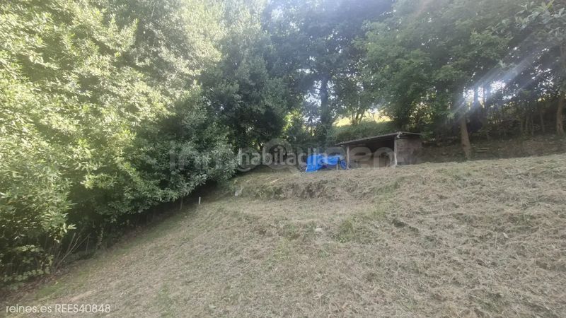 Foto 613d6cea-e968-49e2-ac0e-4ef5fd173926. Finca rústica a Parroquias Norte Siero
